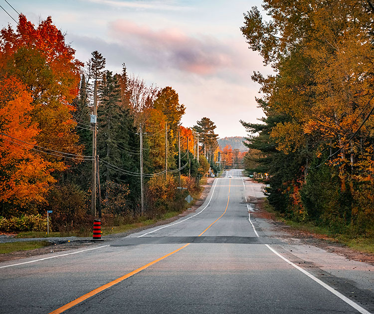 Road